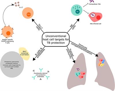 Frontiers Targeting Unconventional Host Components For Vaccination